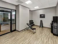 Hampton Inn & Suites Chicago-Downtown - Phòng Gym