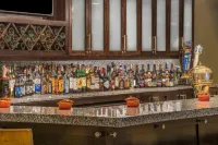 里根國家機場希爾頓花園酒店 - 酒吧