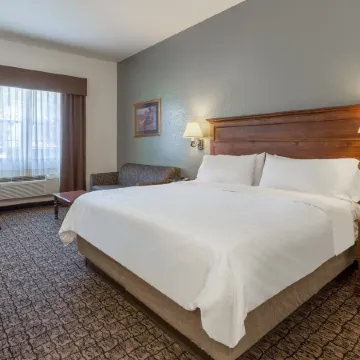 Comfort Inn & Suites Mt Rushmore