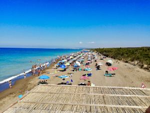 Seaside Apartment - Tuscany - Marina di Bibbona Riviera Degli Etruschi