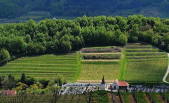 Hotel Garni Weinberghof & Weingut Lagler