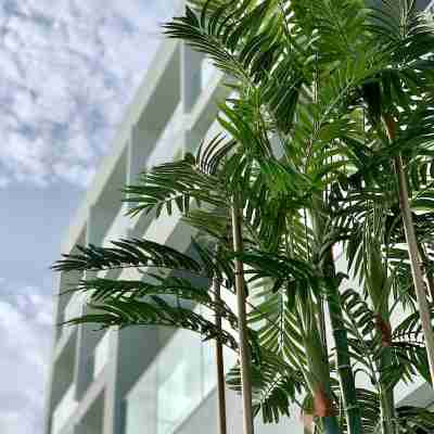 Ivi Mare - Designed for Adults by Louis Hotels Hotel Exterior