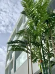 Ivi Mare - Designed for Adults by Louis Hotels - 5 Sao