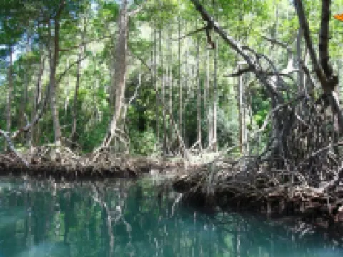 Residencia del Paseo Las Terrenas Hoteles en Las Terrenas
