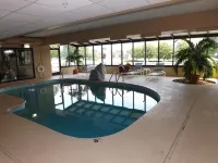 Holiday Inn Express & Suites ALCOA (KNOXVILLE AIRPORT) by IHG - Pools