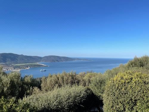 Villa Calanca - Domaine la Raggia - Housity