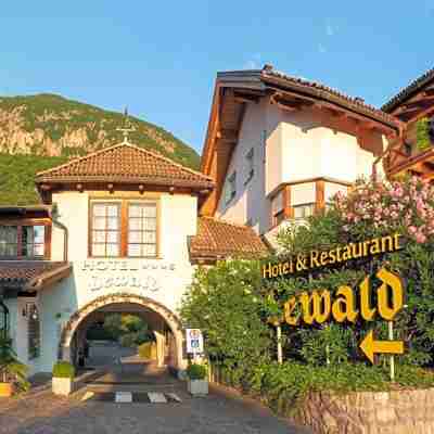 Hotel Ristorante Lewald Hotel Exterior
