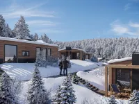 Premium Baumhaus Mit 1 Schlafzimmer