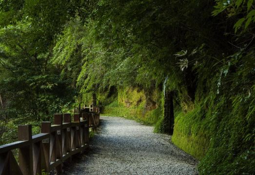 벤즈 호텔 조식 뷔페