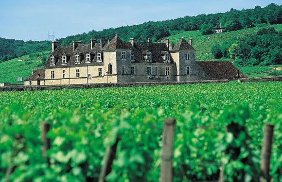 吉普塞富歇池塘