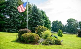 a large american flag waving in the wind above a grassy field , with trees and bushes surrounding it at Roxbury Suites