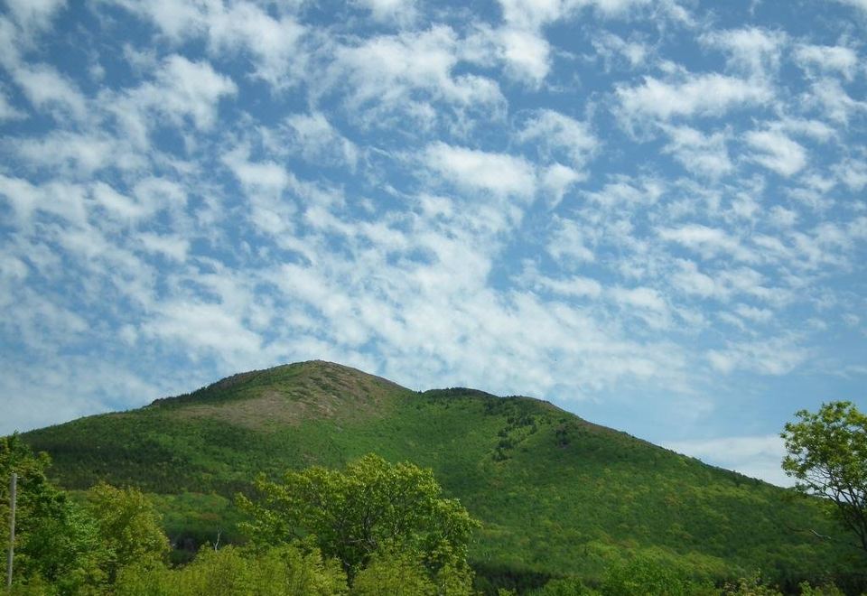 Highland Breeze Accommodations
