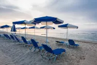 Mikes Beach Lux - bar