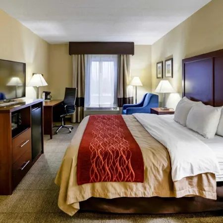 Comfort Inn Lexington I-75