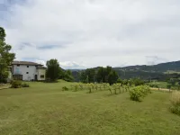 Busani