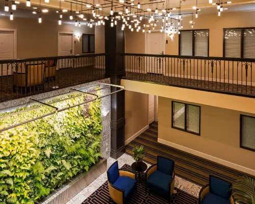 Best Western Plus Palm Court Hotel Area Publik Photos