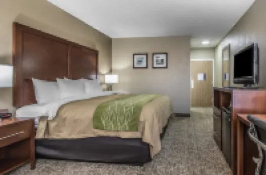 Spark by Hilton Jackson Ridgeland