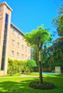 Hotel Gardenia Inn