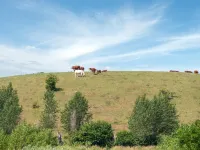 "Raija" - 400m from the Sea