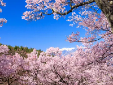 Takematsu Ryokan Hotels in Ina