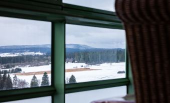 a green window with a view of snow - covered mountains and trees , while a person is sitting on a chair in the background at B 94