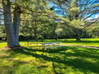 Okemo Westwood Condo 3 Bedroom Condo by RedAwning Hotels in Ludlow