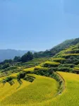 Yunhe Terraces Jiuqu Yunhuan Scenic Area Farmhouse