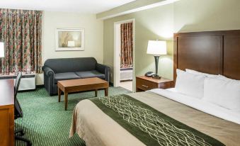 Comfort Inn Douglasville - Atlanta West