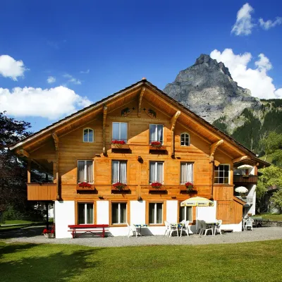 Hotel Alpina Hotels near Kandersteg