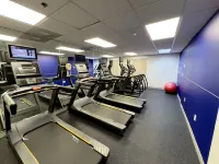 Holiday Inn Express & Suites TAMPA NORTHWEST-OLDSMAR by IHG - Gym