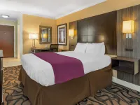 Best Western Plus Airport Plaza Отели рядом с достопримечательностью «Торгово-развлекательный квартал Сантана-Роу»