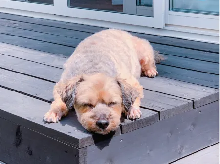 Dogcottageotto Отели рядом с достопримечательностью «Сирахата»