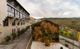 Parador de Sos Del Rey Catolico - Housity