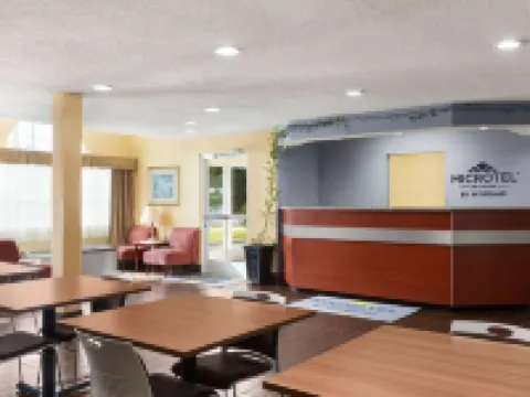 Microtel Inn & Suites by Wyndham Thomasville/High Point/Lexi Hotels in Davidson County
