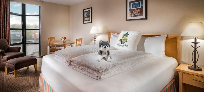 Staypineapple, University Inn, University District Seattle Hoteles en Condado de King