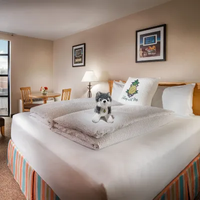 ستاي باين آبل، يونيفرسيتي إن، يونيفرسيتي دستريكت سياتل Hotels near منطقة الجامعة