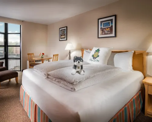 Staypineapple, University Inn, University District Seattle Hotels near Northgate