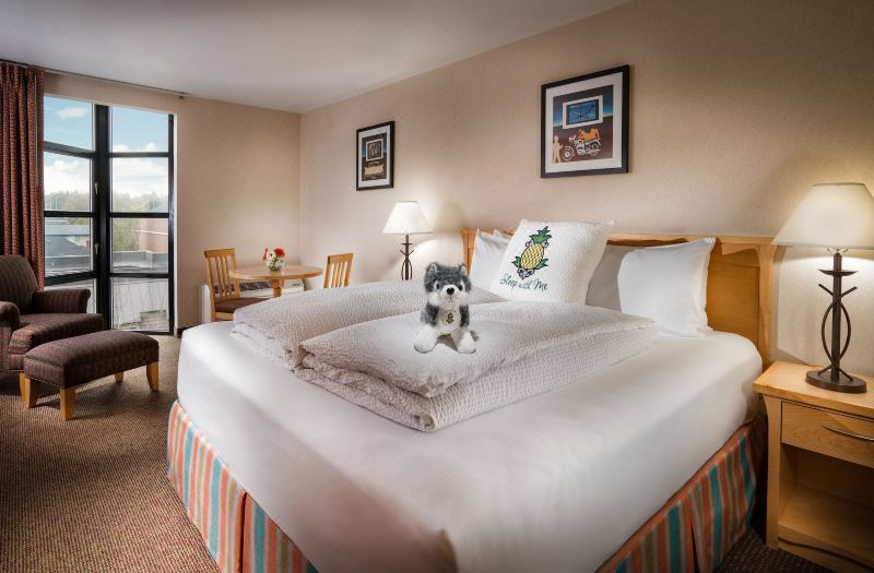 Staypineapple, University Inn, University District Seattle
