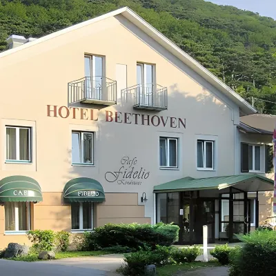 Hotel Beethoven Hotels near Schönbrunner Gardens