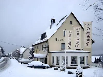 Hotel Palatino Hotels in Sundern