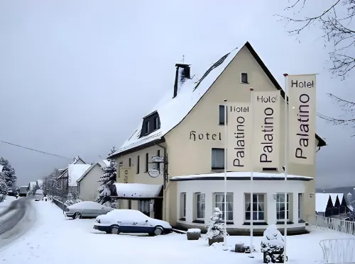 Hotel Palatino Hotels in Balve