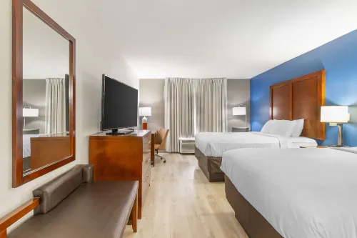 Comfort Inn Near Six Flags St Louis - Kæledyr tilladt