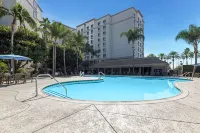 Sonesta Anaheim Resort Area - Yüzme Havuzu