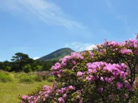 Kirishimajingumae Youth Hostel