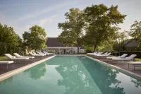 Le Montrachet - Pool