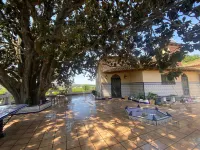 Rustic Charm, Olivo Suite with Private Bathroom and Unique Views 住宿飯店
