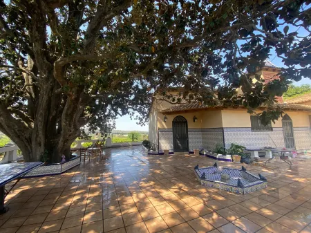 Rustic Charm, Olivo Suite with Private Bathroom and Unique Views