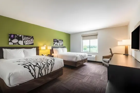 Sleep Inn & Suites Tampa South