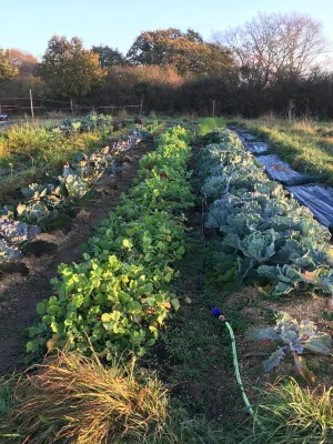 Gîte au Coeur D'une Ferme Maraichère