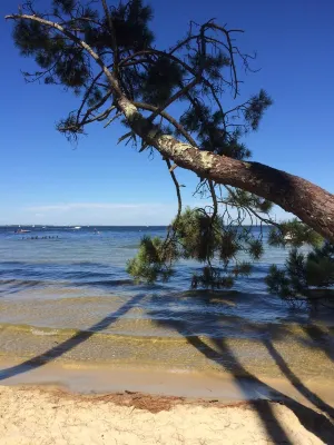 Duplex Biscarrosse, Place Marsan, Commerces de Proximité, à 5 Minutes du lac Hotels in Biscarrosse